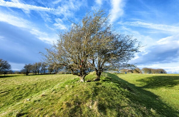 Hill Of Tara