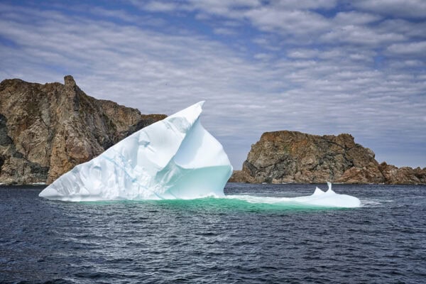 Iceberg Alley