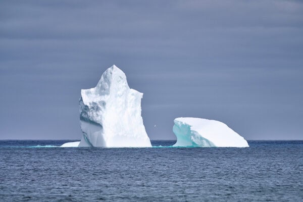 Iceberg
