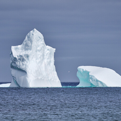 Iceberg