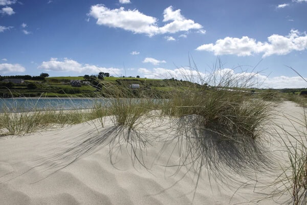 Inchydoney Island