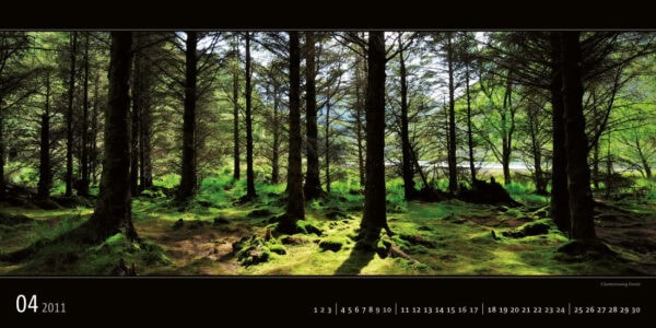 Ireland 2011 Calendar