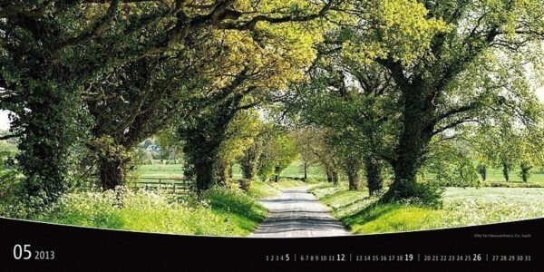 Ireland 2013 Calendar
