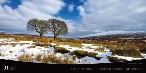 Ireland 2014 Calendar