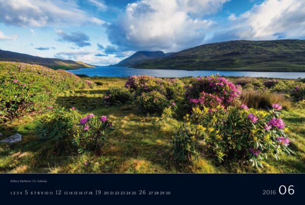 Ireland 2016 Calendar