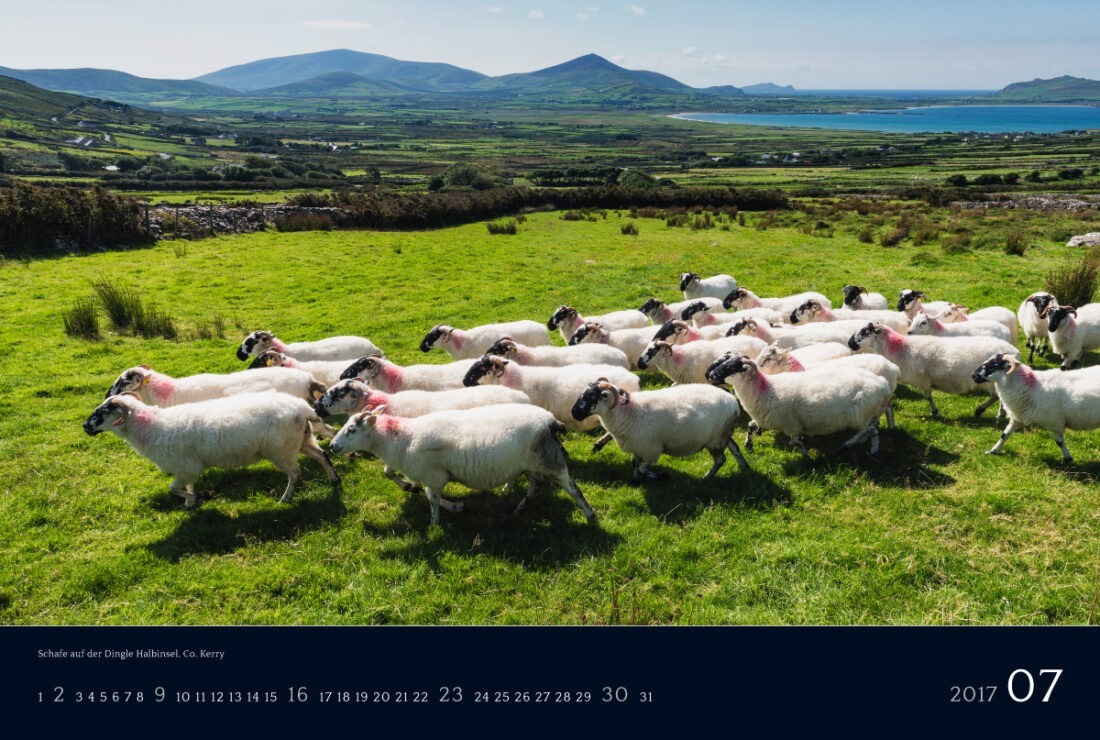 Ireland 2017 Calendar