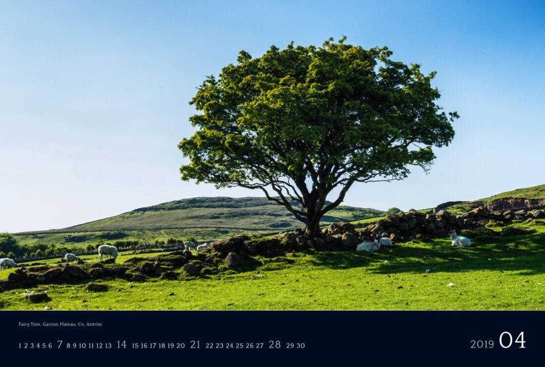 Ireland 2019 Calendar