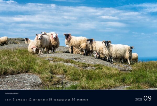 Ireland 2021 Calendar