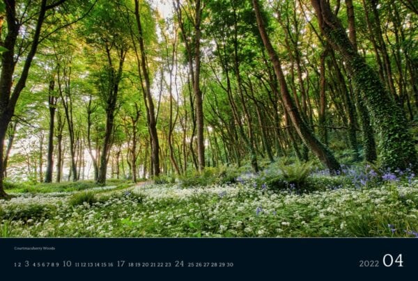 Ireland 2022 Calendar