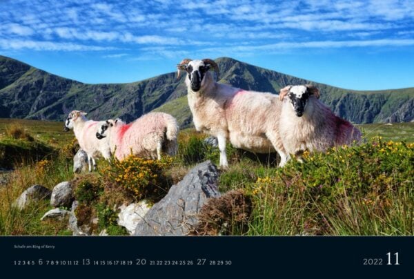 Ireland 2022 Calendar