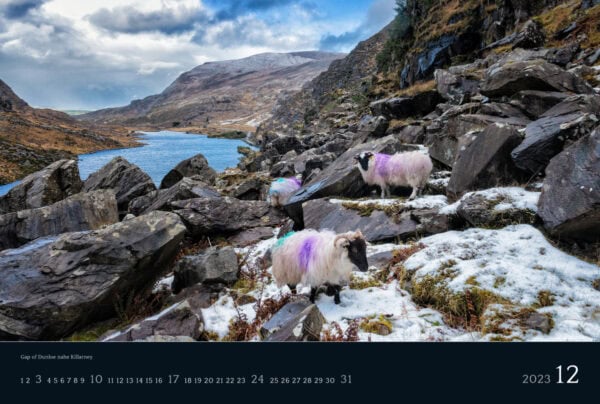 Ireland 2023 Calendar