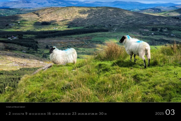 Ireland 2025 Calendar