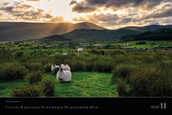 Ireland 2026 Calendar - November