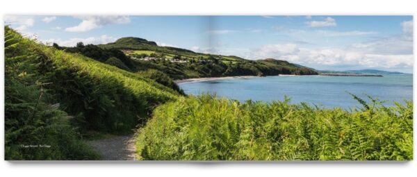 Irlands Ostküste - Ireland's East Coast Book