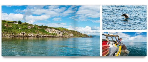 Irlands Ostküste - Ireland's East Coast Book