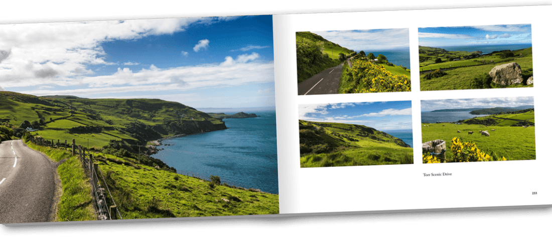 Ireland's East Coast book