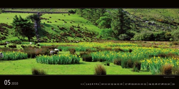 Ireland 2010 Calendar