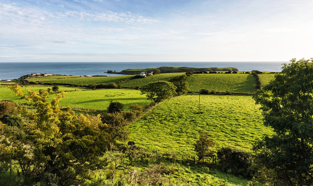 Green fields of Islandmagee, Co. Antrim, Northern Ireland