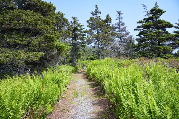 Kejimkujik National Park