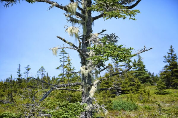 Kejimkujik National Park