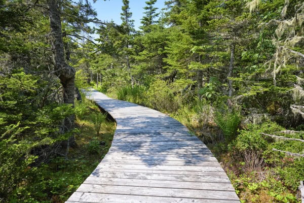 Kejimkujik National Park