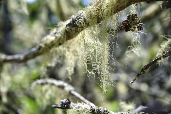 Kejimkujik National Park