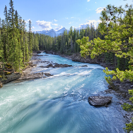 Kicking Horse River