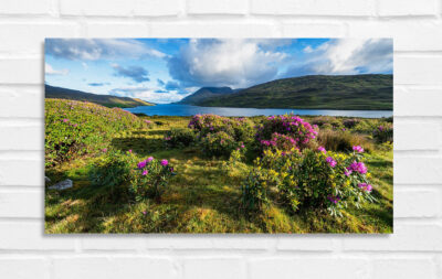 Killary Harbour - Irland Foto