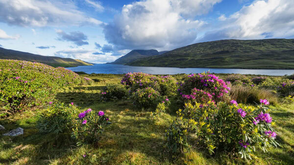 Killary Harbour