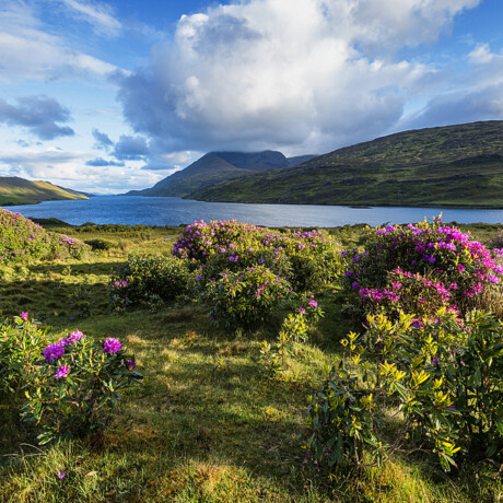 Killary Harbour