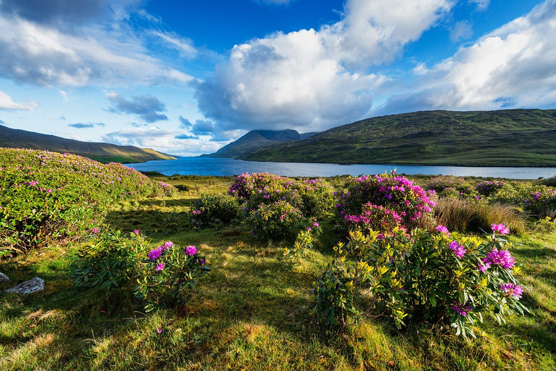 Killary Harbour, Co. Mayo, Irland