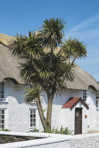 Kilmore Quay Cottages