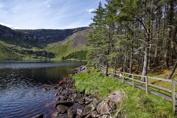 Glanteenassig Forest Park