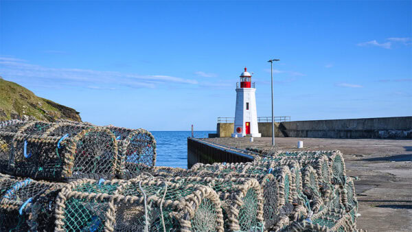 Lybster Harbour