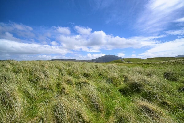 Machair