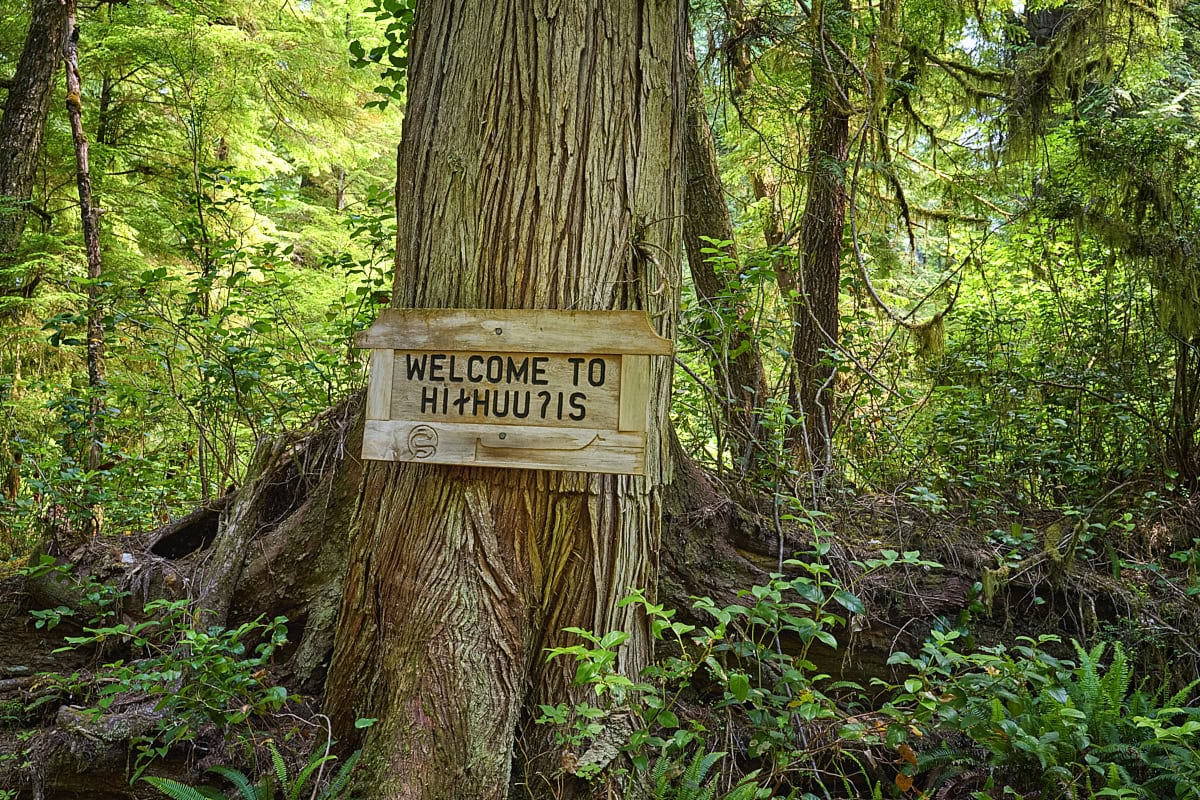 Big Tree Trail at Meares Island, Vancouver Island, British Columbia, Canada