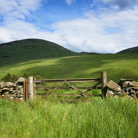 Moffat Water Valley