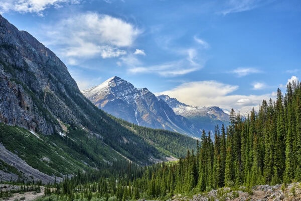 Mount Edith Cavell