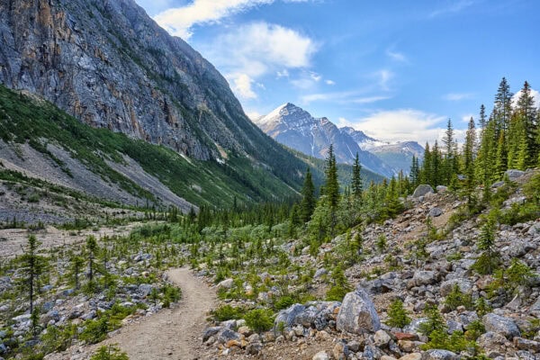 Mount Edith Cavell