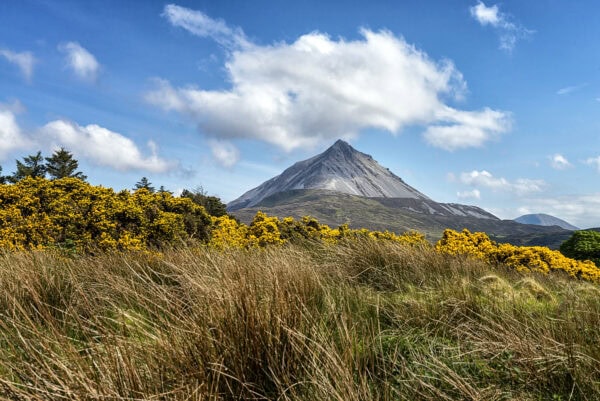 Mount Errigal