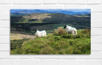 Mount Gabriel - Irland Foto