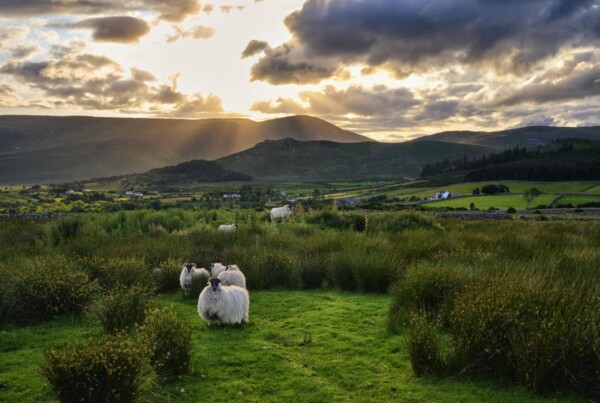 Mourne Mountains, Co. Down, Northern Ireland