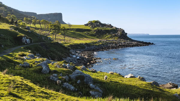 Murlough Bay