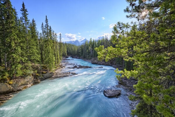 Kicking Horse River