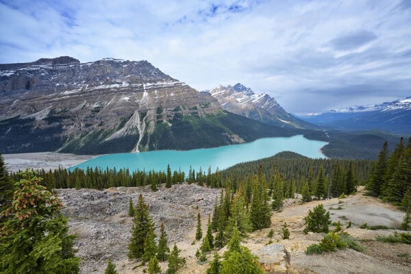 Peyto Lake