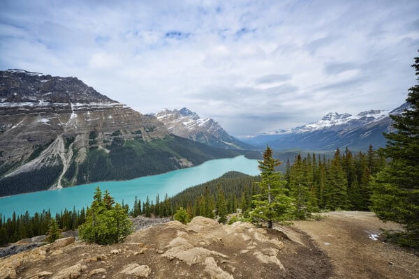 Peyto Lake
