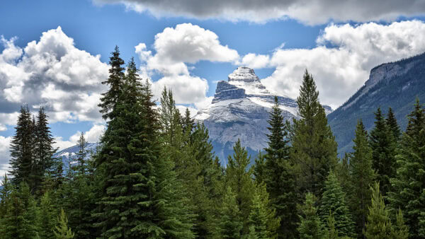 Pilot Mountain