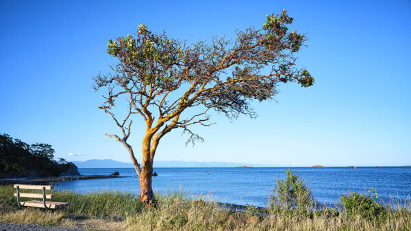 Pipers Lagoon