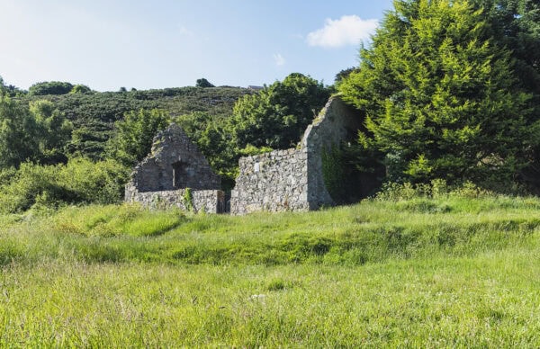 Raheenacluig Bray Hill