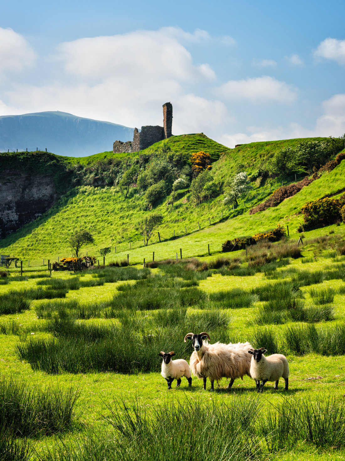 Red Bay Castle in County Antrim, Northern Ireland